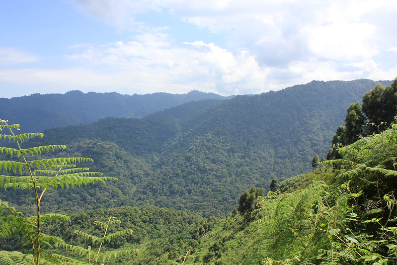 Entebbe to Bwindi distance