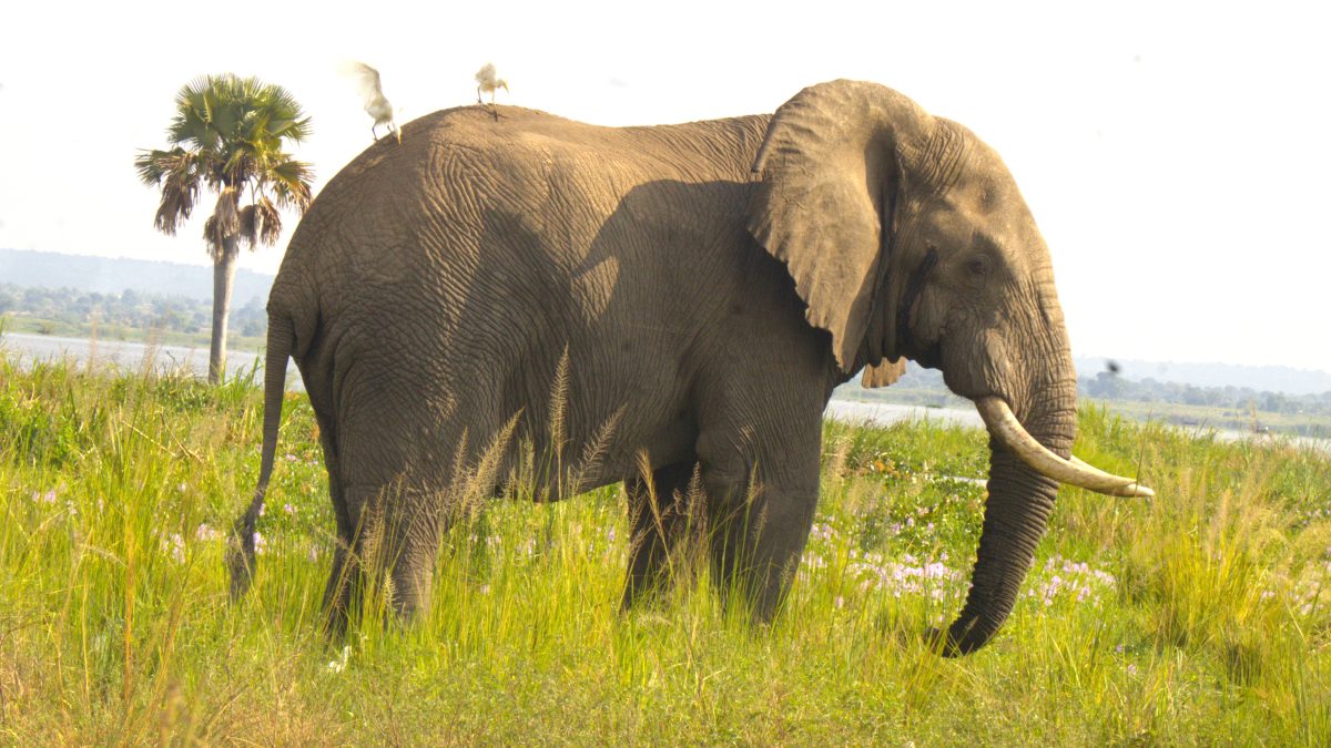 Uganda tourist destination