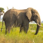 Uganda tourist destination