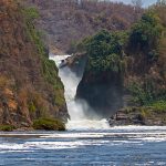 Entebbe to Murchison Falls