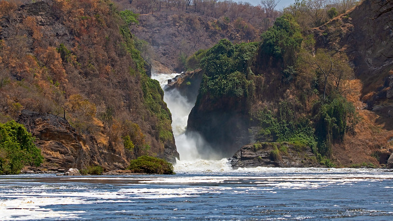 Entebbe to Murchison Falls
