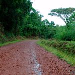 Distance from Kigali to Bwindi