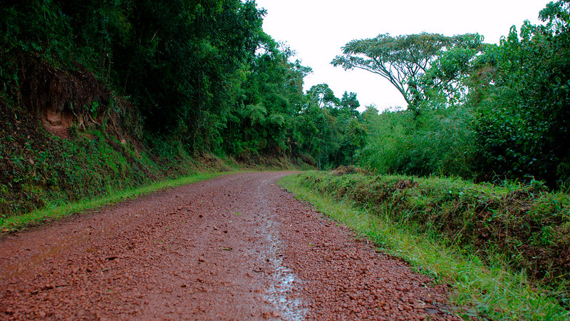 Distance from Kigali to Bwindi