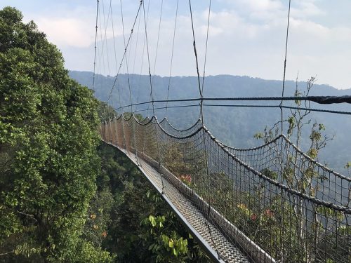 Rwanda honeymoon