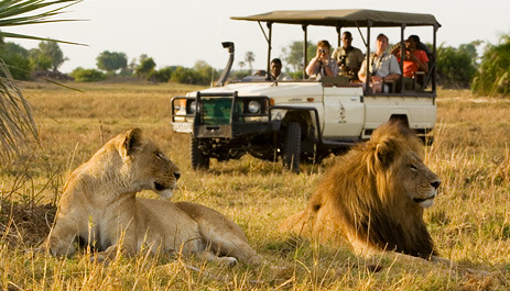 Guided safari