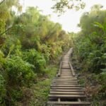 Best Time to Visit Bigodi