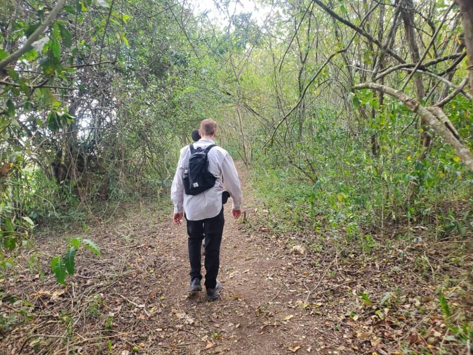 Bigodi Community Walk