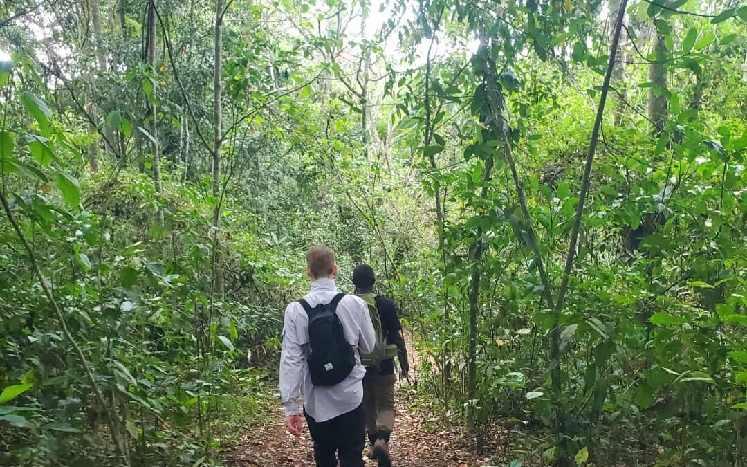 Kibale forest walks