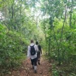 Kibale forest walks