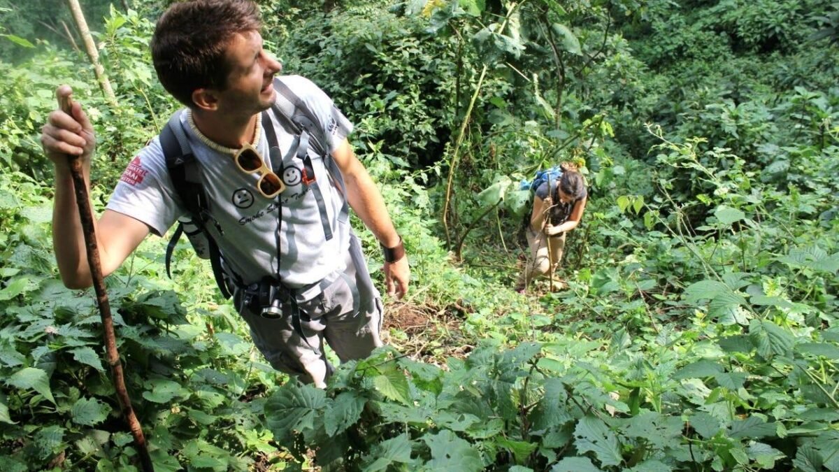 gorilla trekking difficulty