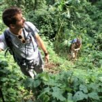 gorilla trekking difficulty