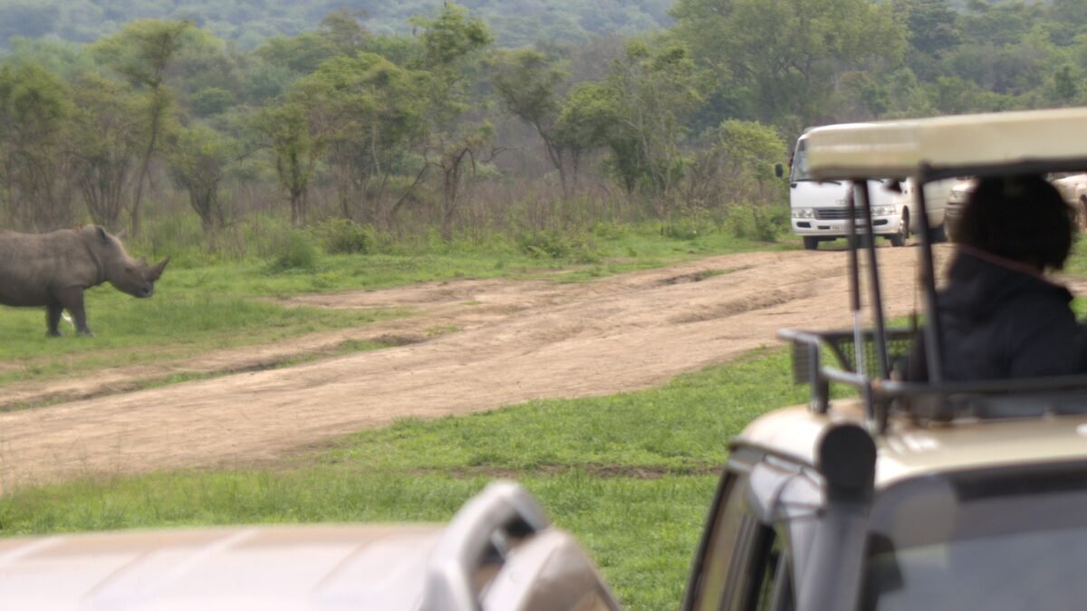 get to Kidepo Valley
