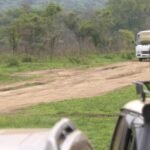 get to Kidepo Valley