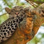 Lake Mburo National Park