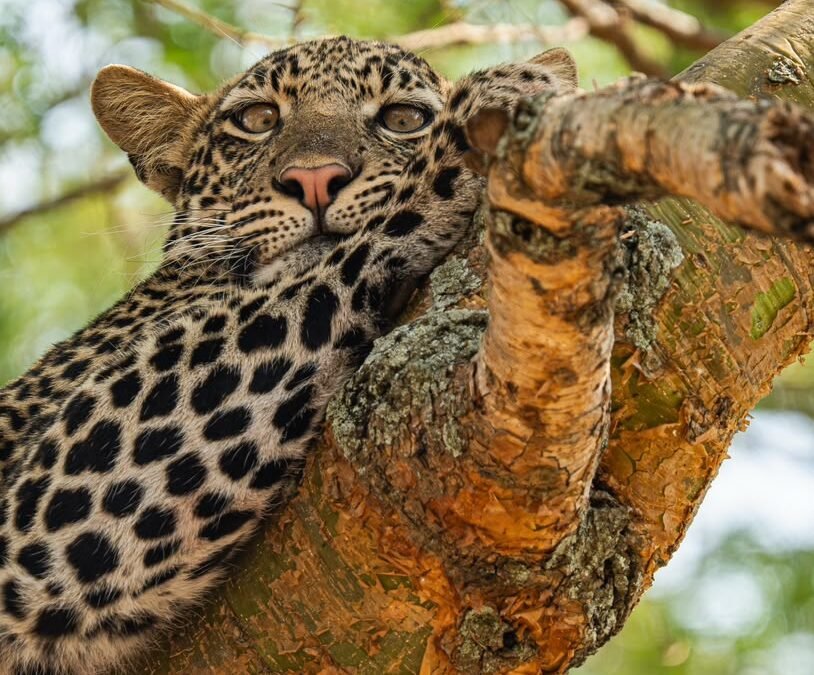 Lake Mburo National Park