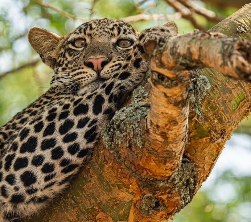 Lake Mburo National Park