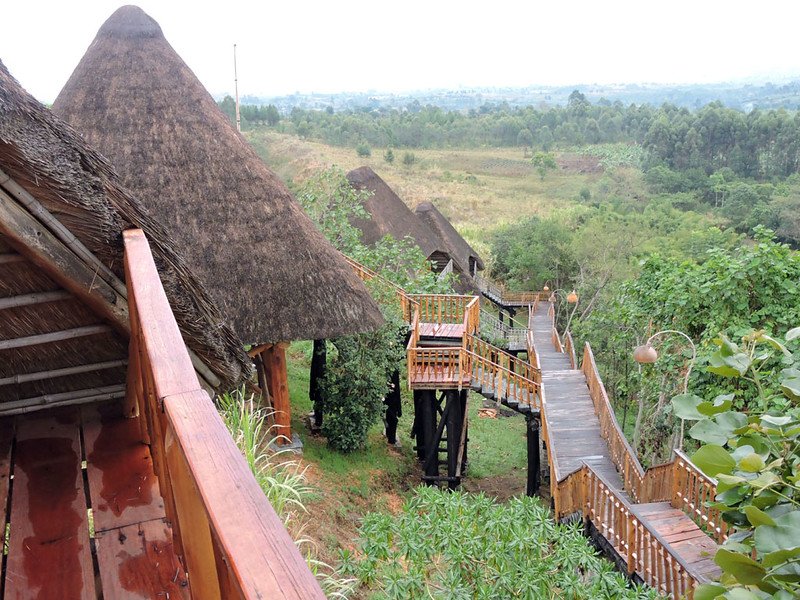 luxury lodges in Kibale