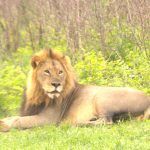 Queen Elizabeth Park fees