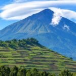 Mgahinga volcanoes