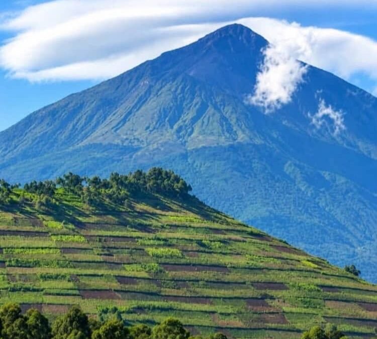 Mgahinga volcanoes