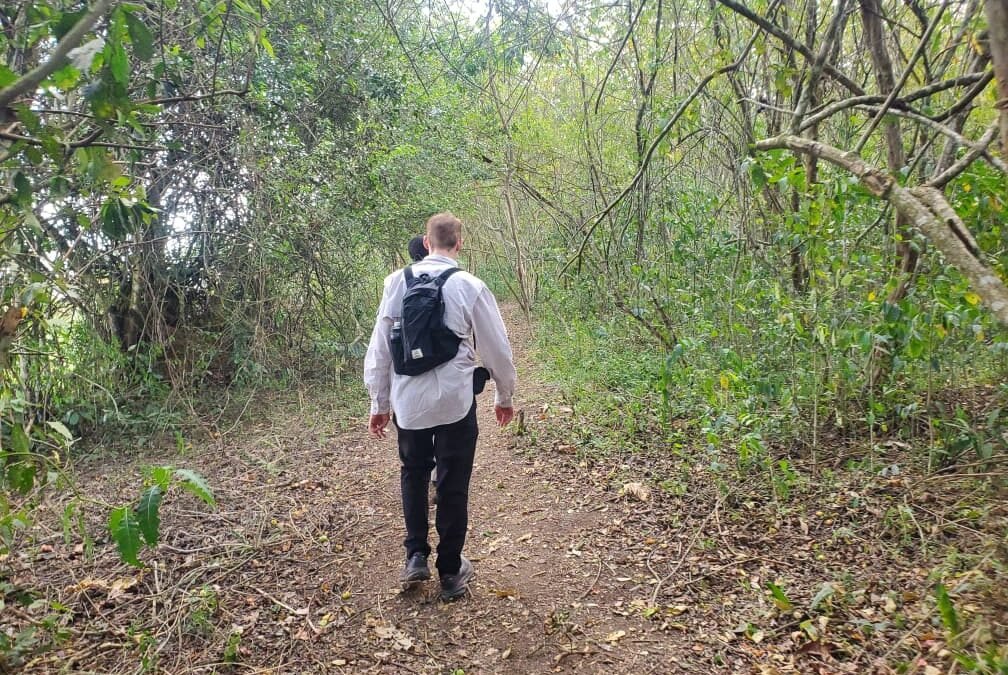 Bigodi Wetland Sanctuary