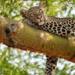Things to Do in Lake Mburo