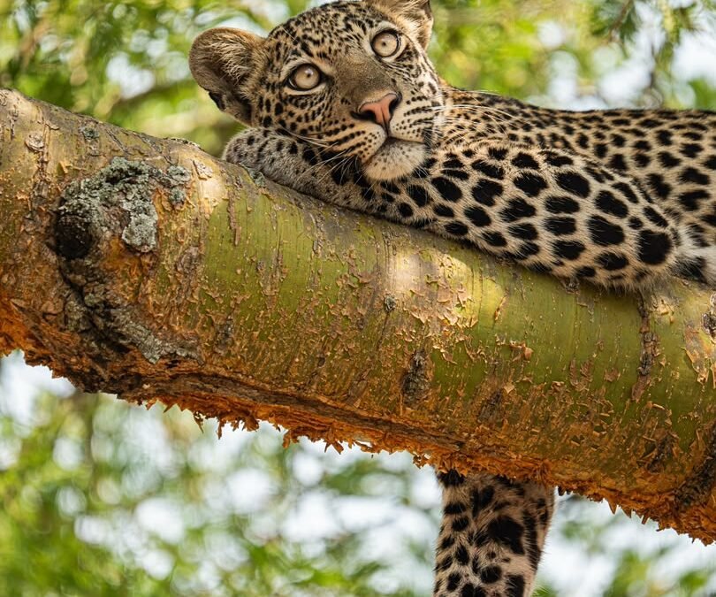Things to Do in Lake Mburo