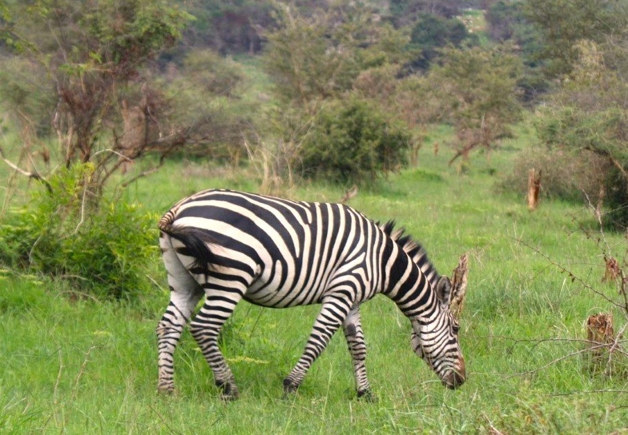 Lake Mburo packing list