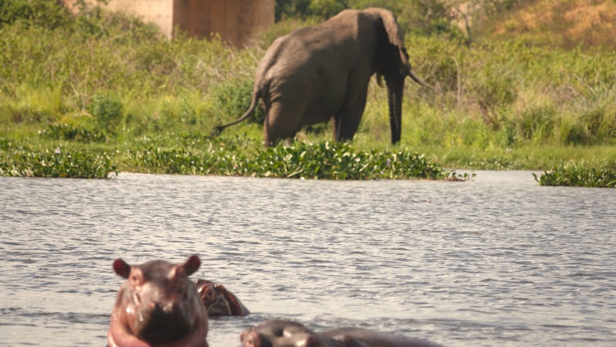 where is Queen Elizabeth National Park
