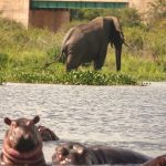 where is Queen Elizabeth National Park