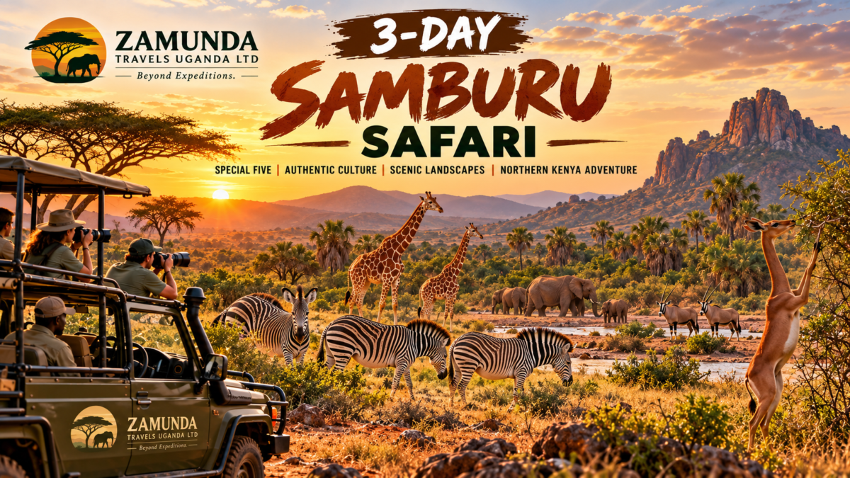 3-Day Samburu Safari in Kenya featuring Grevy's zebras, reticulated giraffes, elephants, gerenuk and scenic northern Kenya landscapes.