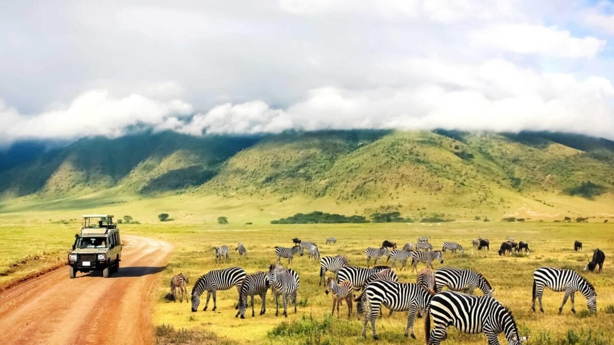 Ngorongoro Crater wildlife safari in Tanzania during a 7-day East Africa wildlife and primate adventure.