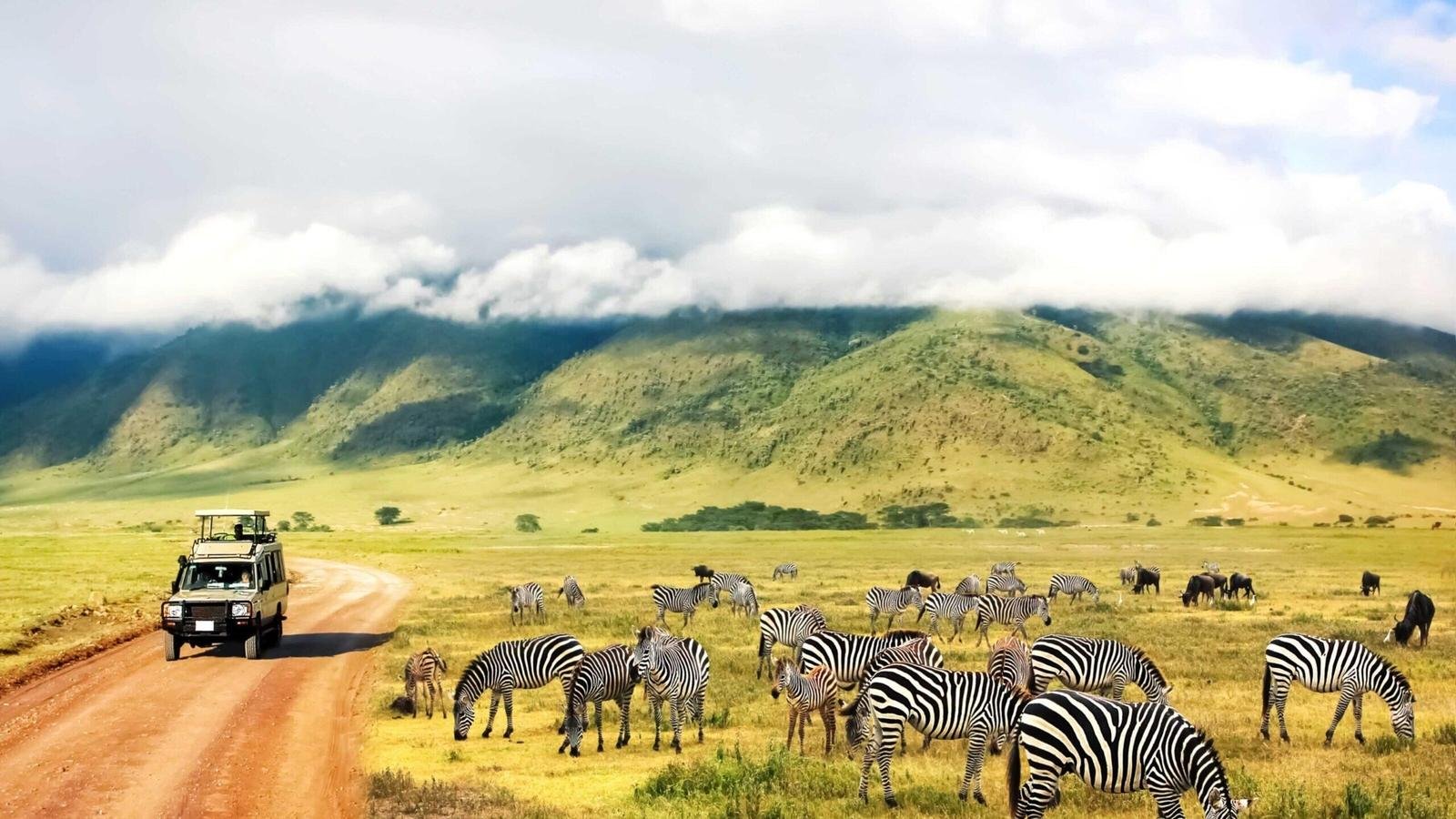 Ngorongoro Crater wildlife safari in Tanzania during a 7-day East Africa wildlife and primate adventure.
