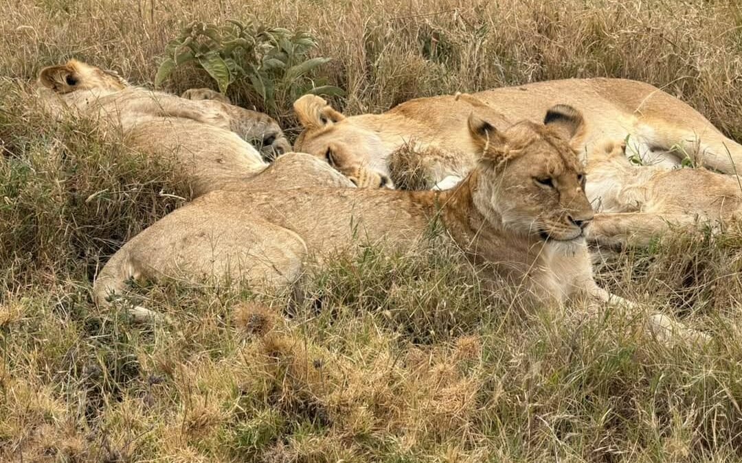 Best Places in Tanzania