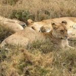 Best Places in Tanzania