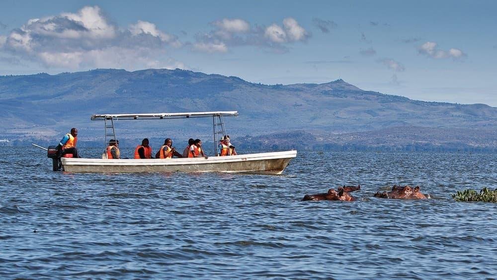 Lake Naivasha safari