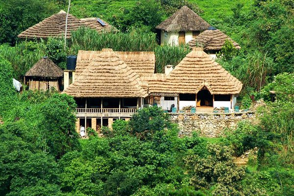 luxury lodges in Bwindi