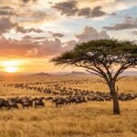 Best Tanzania itinerary ideas featuring wildebeest in Serengeti National Park.