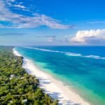 Aerial view of Diani Beach in Kenya with white sand, turquoise Indian Ocean waters, and tropical coastal forests.
