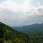 Why Bwindi is called impenetrable