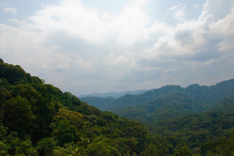 Why Bwindi is called impenetrable