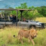 Akagera National Park safari cost and guided wildlife game drive in Rwanda
