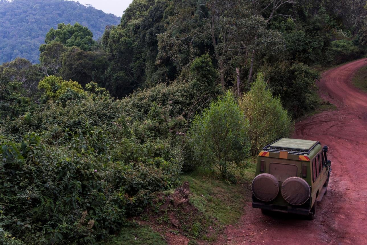 Safari road transfer from Entebbe to Bwindi Impenetrable National Park.