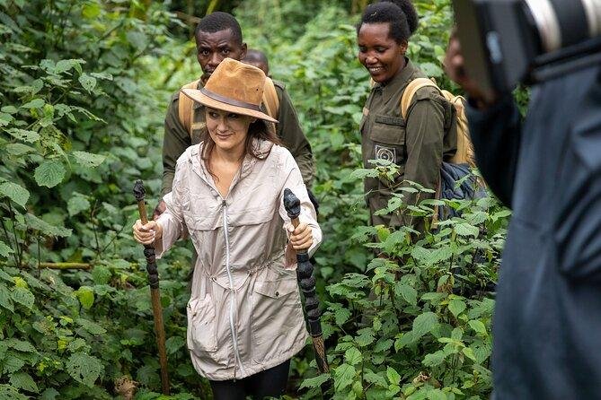 Gorilla trekking for older travellers in Uganda with ranger support in Bwindi
