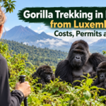 Gorilla trekking in Rwanda from Luxembourg featuring mountain gorillas in Volcanoes National Park.