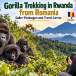 Gorilla trekking in Rwanda from Romania featuring mountain gorillas in Volcanoes National Park, with safari packages by Zamunda Travels.