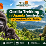 Gorilla trekking in Uganda from Ireland featuring mountain gorillas in Bwindi Impenetrable National Park