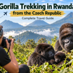 Gorilla trekking in Rwanda from the Czech Republic featuring mountain gorillas, a wildlife photographer, and the Virunga Mountains.