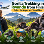 Gorilla trekking in Rwanda from Finland with mountain gorillas, Volcanoes National Park, and safari travel packages by Zamunda Travels.