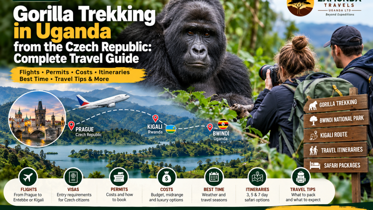 Gorilla trekking in Uganda from the Czech Republic, featuring a mountain gorilla in Bwindi Impenetrable National Park and travel routes through Kigali, Rwanda.